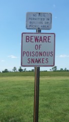 poisonous snakes