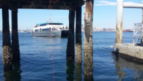 Water taxi Doc Maynard coming into to Seacrest park July 5 2018